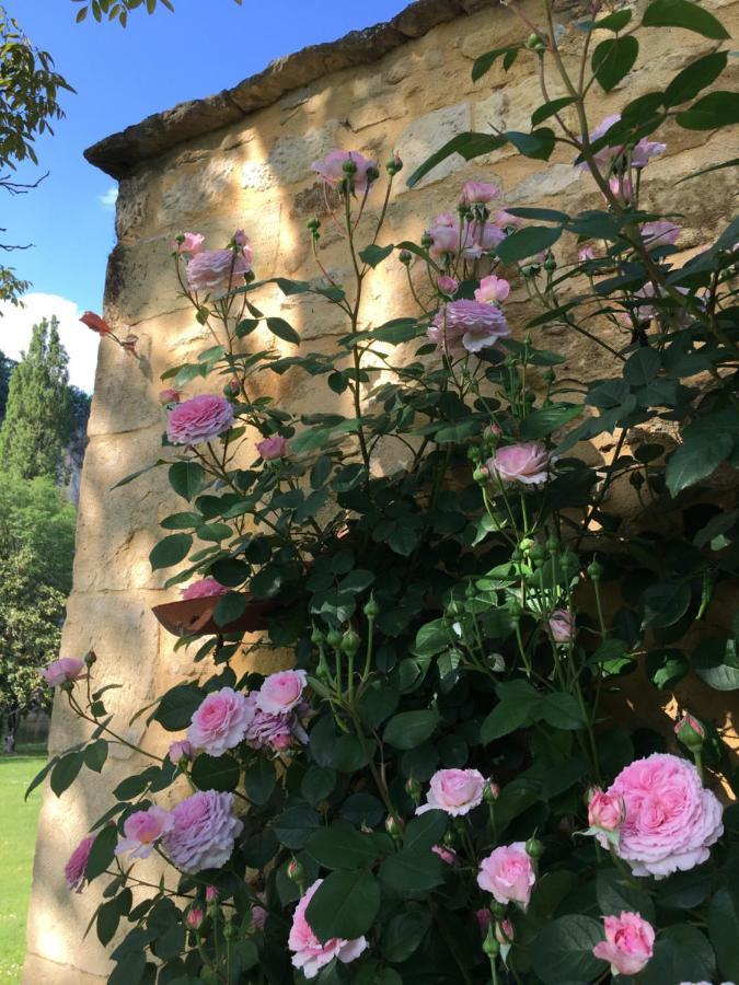 Par La Riviere Bed & Breakfast La Roque-Gageac Dış mekan fotoğraf